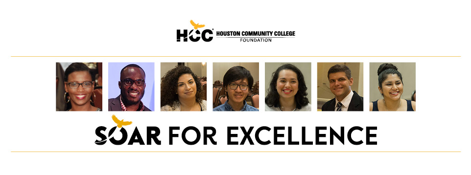 soar for excellence
